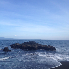 photo 706278