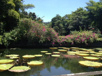photo 706284