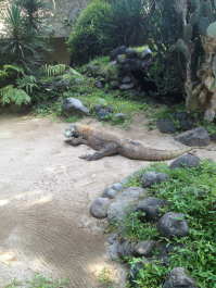 photo 706333