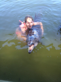 photo 706339