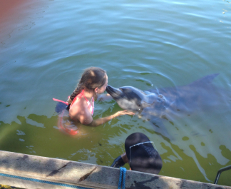 photo 706340