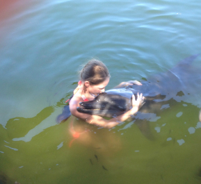 photo 706341