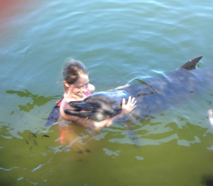 photo 706342
