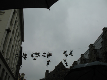 photo 422276