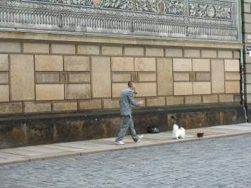 photo 421046