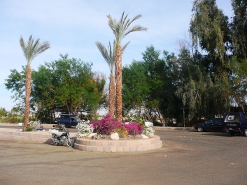 photo 1239242