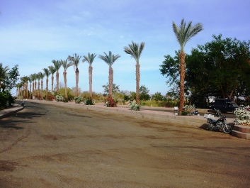 photo 1239243
