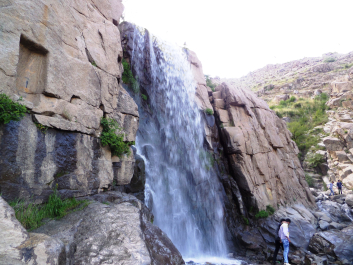 photo 1249127