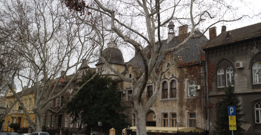 photo 1249385