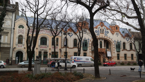 photo 1249390