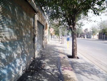 photo 1268975