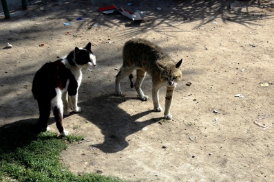 photo 1759040