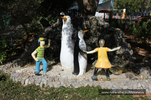 photo 102665