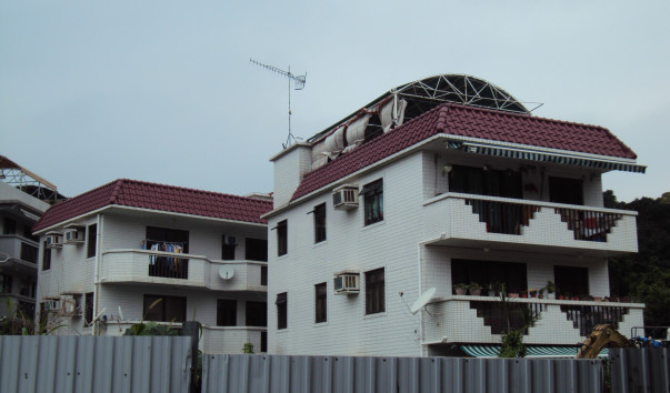 DSC03957