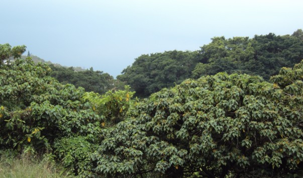DSC03956