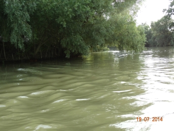 photo 899964