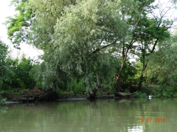 photo 899970