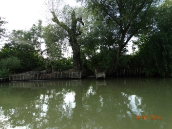 photo 899973