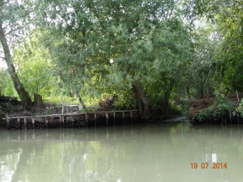 photo 899976