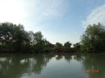photo 899977