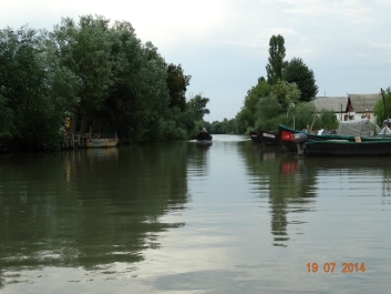 photo 899986