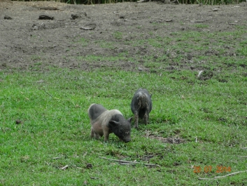 photo 900002