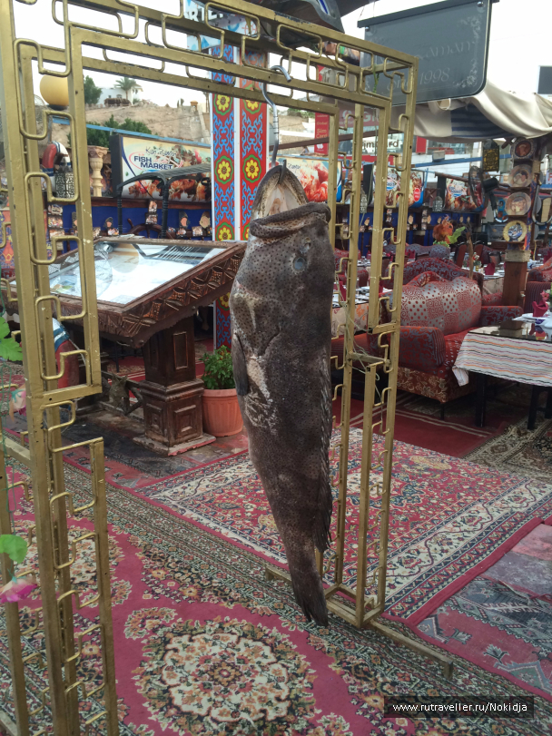 photo 1037595