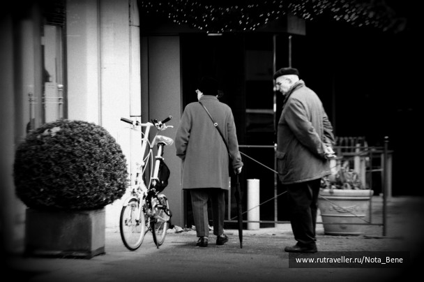 photo 233844