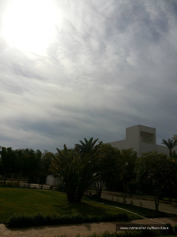 photo 843132