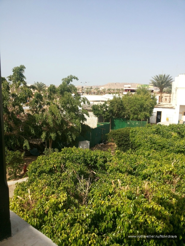 photo 843161