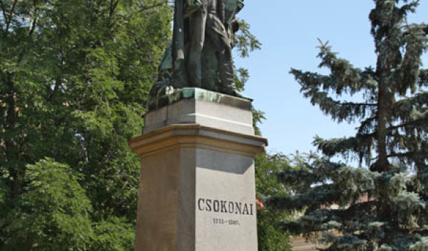 Памятник Михаю Чоконаю - Витез (Csokonai Vitez)