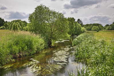 photo 497593