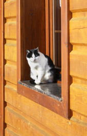 photo 442008