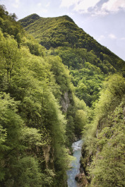 photo 367373