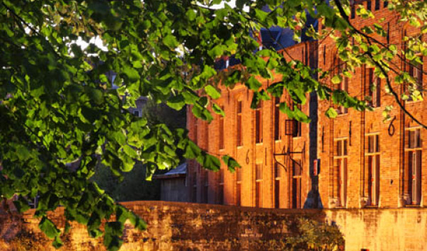 0149-62 Брюгге. Церковь Богоматери. Бельгия
