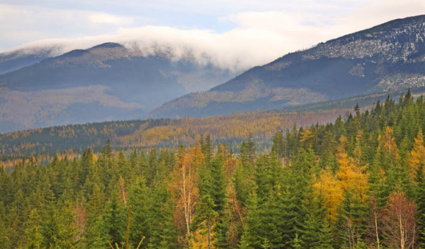 Горы Карконоше (Karkonosze)