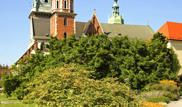Краков. Вавельский замок. Кафедральный собор Св. Станислава и Вацлава
