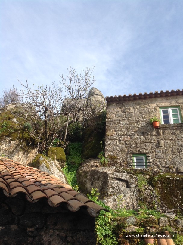 photo 1158758