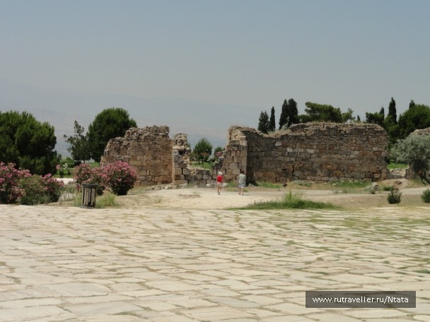 photo 105974