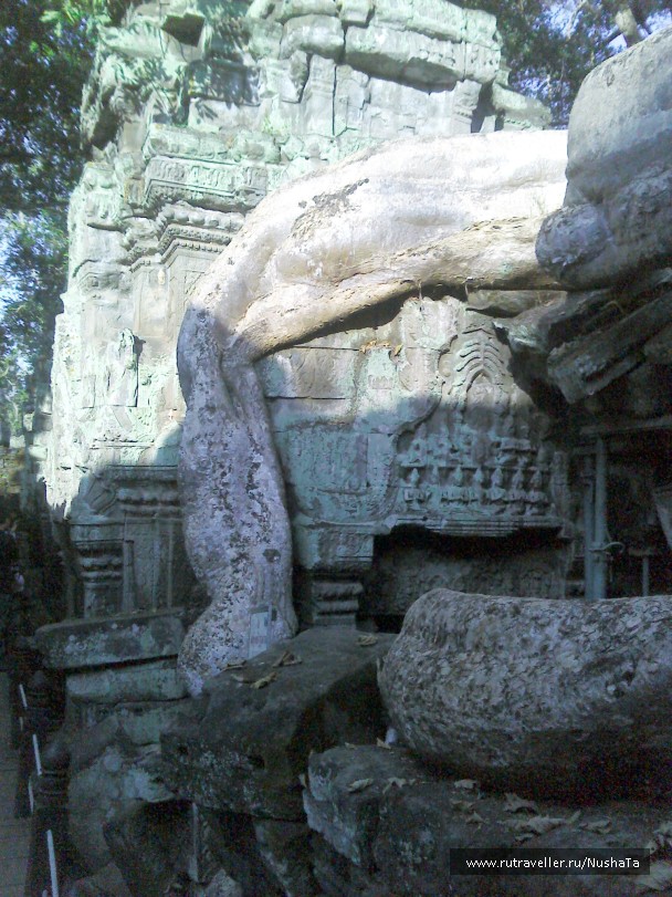 photo 852142