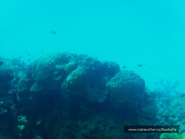 photo 852772