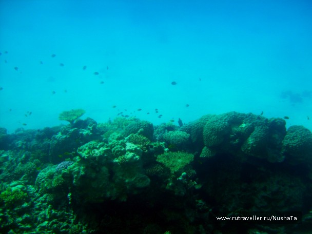 photo 852773