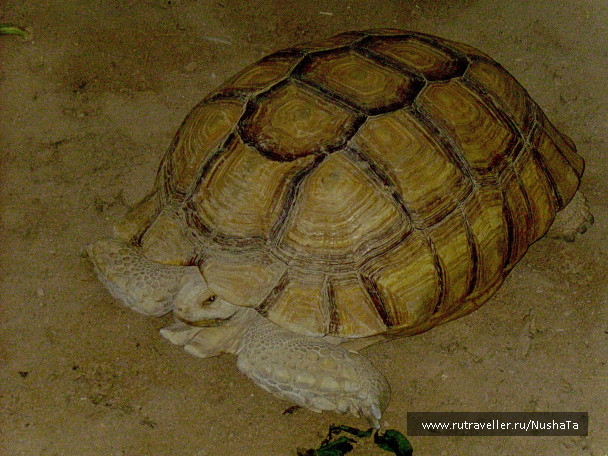 photo 1686394
