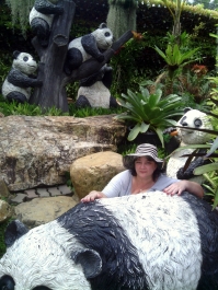 photo 887361