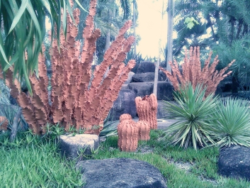 photo 893253