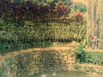 photo 893262