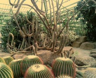 photo 893264