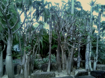 photo 893345