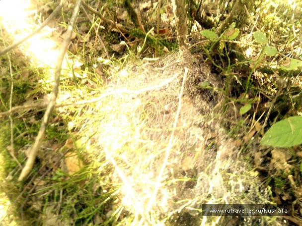 photo 873597