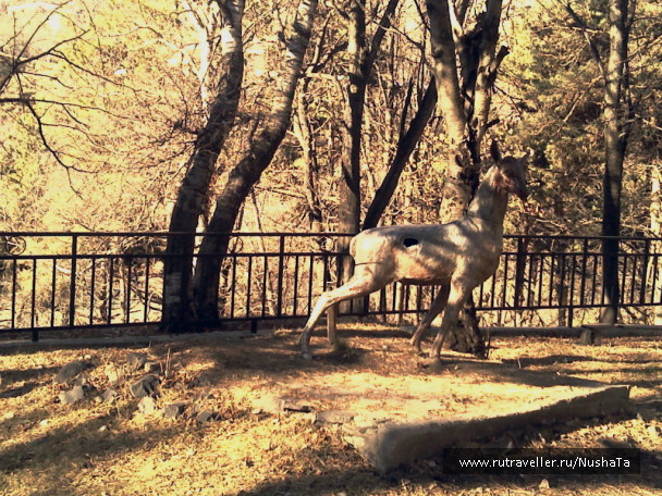 photo 1711367